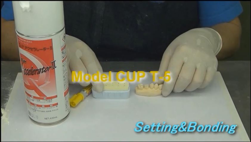 Model Cup System For Die Pin Models 1