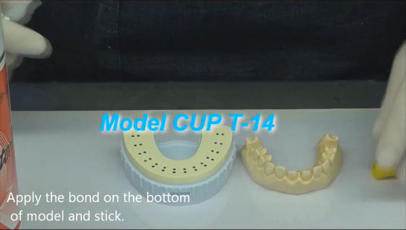 Model Cup System For Die Pin Models 3